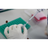 吉林省新增3例确诊病例 均与丰满区确诊病例有关联