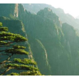 泰山景区今日14时暂停售票 已预约游客仍可进山游览