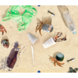 你一定想不到，海底竟是这样的……