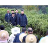 初心印记② 三个“微镜头”蕴含的使命担当