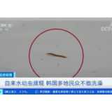 惊人！恐慌蔓延！韩国自来水频现幼虫，肉眼可见！滋生幼虫的温床或是……