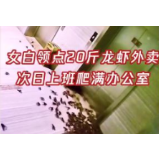 杭州女白领点外卖忘取,第二天上班看到这幕吓哭:办公室已被占领……
