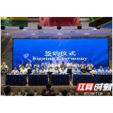 全球咖啡可可主产国“落子”长沙 湖南年内首场对非重大经贸活动启动