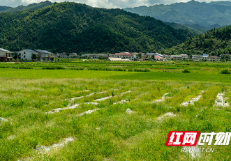 组图｜岳阳平江县福寿山下村民的夜生活