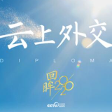 回眸2020｜云上外交