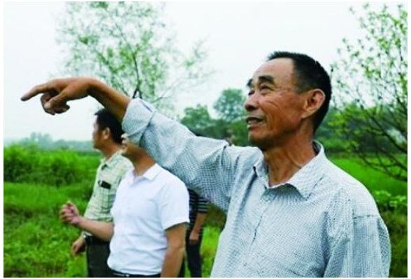 26年记录洞庭湖359种鸟类 漫漫迁徙路，有他们默默守护