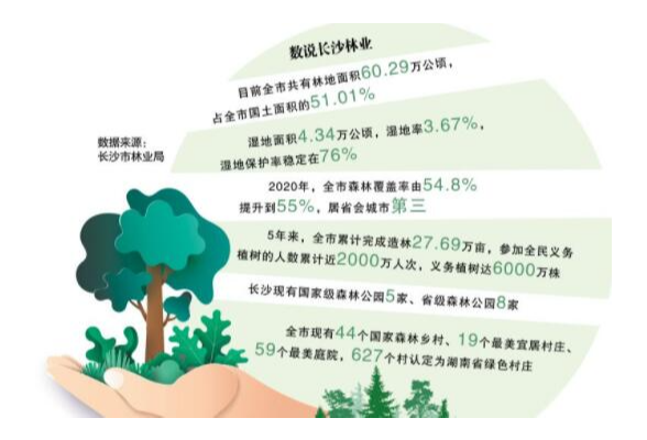 长沙今年拟造林1.4万亩 森林覆盖率稳定在55%