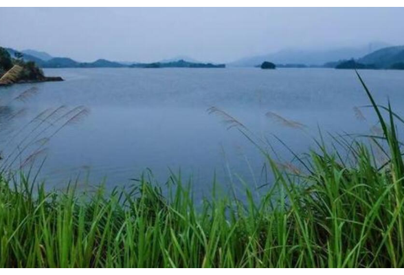 岳阳：“流浪垃圾”有了“家”