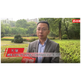 湖南“五四”侨界优秀青年 | 刘敏：做人工智能科研的探索者