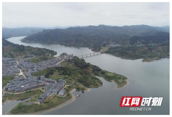 洪江市清江湖鸢飞鱼跃 检测到国家二级重点保护植物6种、动物10种