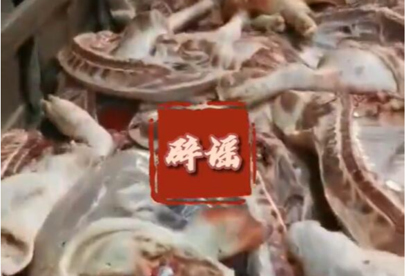 视频｜汕头一满载病死猪肉的小货车被拦下？别信！这是2019年发生的事情！