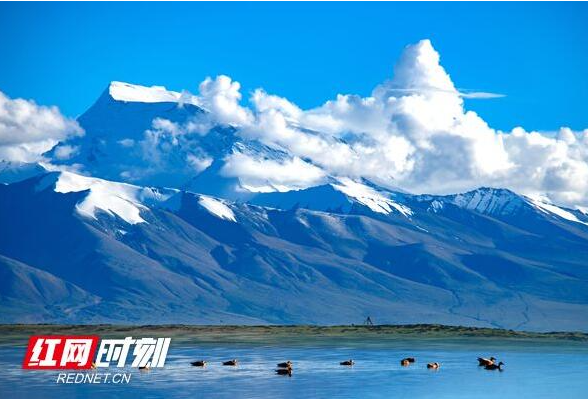 退休党员许山海：行者无疆 用镜头记录动人的时代风景