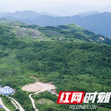 “在石间栽树”： 湖南趟出一条生态与经济并重的石漠化治理之路