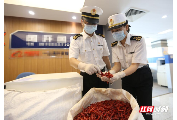 来自非洲的火辣滋味！我国首次从非洲进口干辣椒
