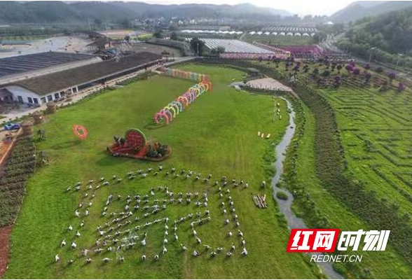 给每一丘田一个负责任的名字——湖南“田长”大步走来