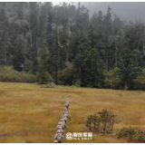 浪漫！用中国风BGM打开军人守护的祖国