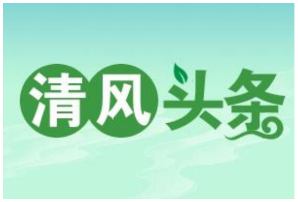 清风头条 | 嘉禾：吹响监督“集结号” 打好乡村振兴“推进战”