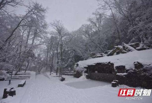 这个冬天湖南的雪为何格外多