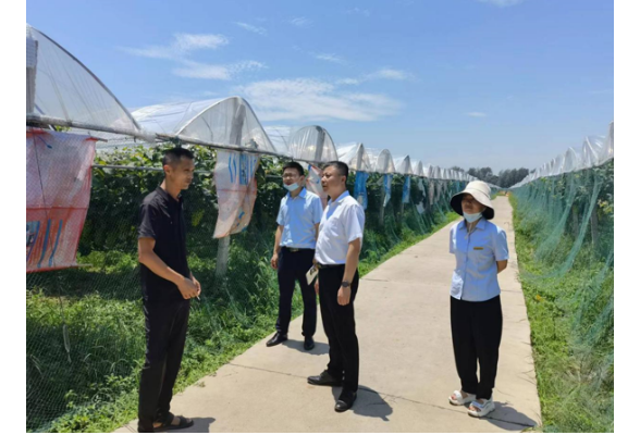 邮储银行开辟金融服务“绿色通道” 为农业抗旱保产注入“金融活水”