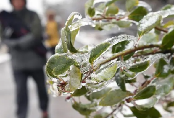 湖南启动低温雨雪冰冻灾害Ⅳ级应急响应