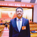 委员心声丨李勇：统筹规范新能源开发  提升能源自主保障能力