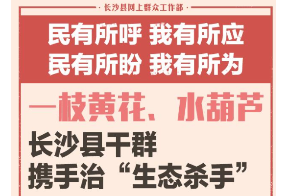 一周为民办事｜一枝黄花、水葫芦 长沙县干群携手治“生态杀手”