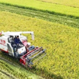 三农“成绩单”|第一产业增加值4602.7亿元 农村居民可支配收入达19546元