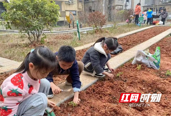 萌娃“对话”大自然：“植”此青绿 共享成长