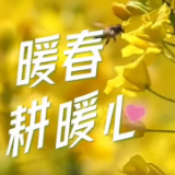 视频·备春耕｜邵阳98支春耕保电党员小分队“到户下田”送服务