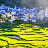 赴浙江取经，湖南乡村振兴更有灵感了