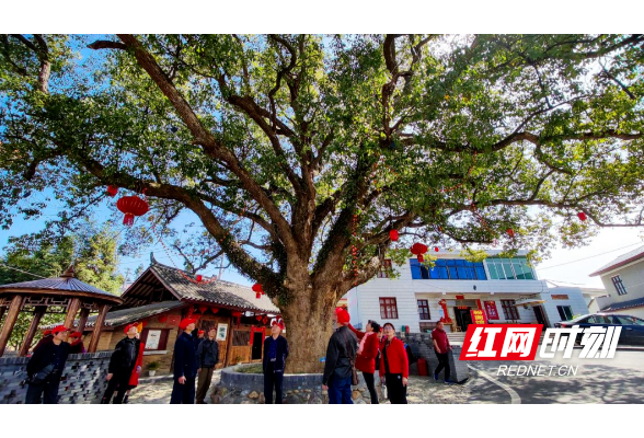 好评中国·走进湖南｜洪江市下坪村：人间四月，在美丽乡村体验“向往的生活”