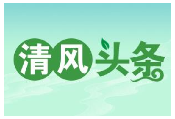 清风头条丨龙山：让青春之花在纪检监察事业中绚烂绽放