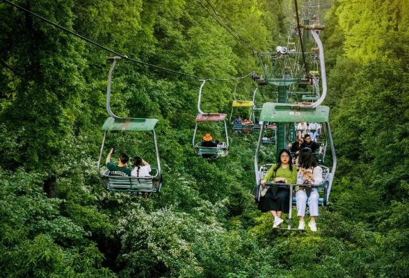 岳麓山索道的浪漫回响