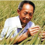 两年了，重温袁隆平的几件“小事儿”
