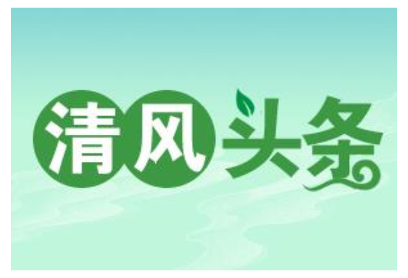 清风头条丨凤凰：巡察利剑让“三湘护农”走深走实