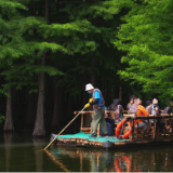 行走江苏湿地城市 | 生态和谐、“湿”意盎然，全国媒体点赞江苏湿地之美