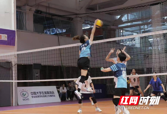 湖南工业职院再获中国大学生排球联赛（高职高专组）女子组冠军