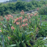 治污减排 河湖重生——洞庭湖总磷浓度呈下降趋势