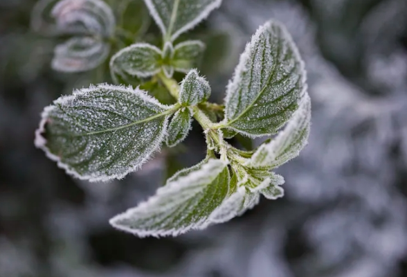 湖南累计降温幅度可达20℃以上！中央气象台继续发布寒潮橙色预警