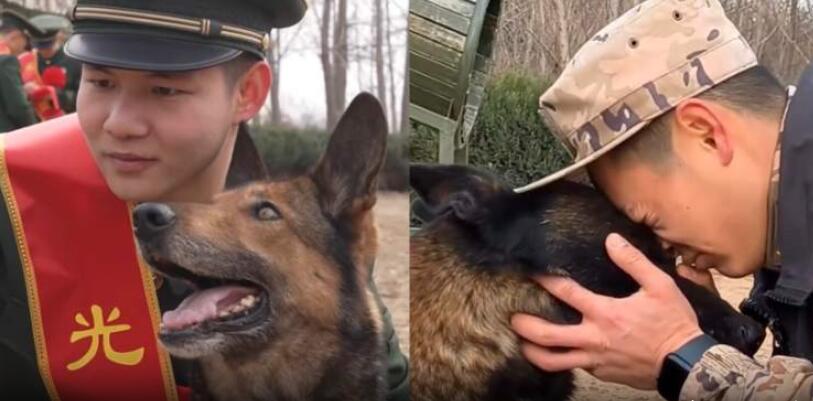 辛苦了服役8年的军犬向军营告别