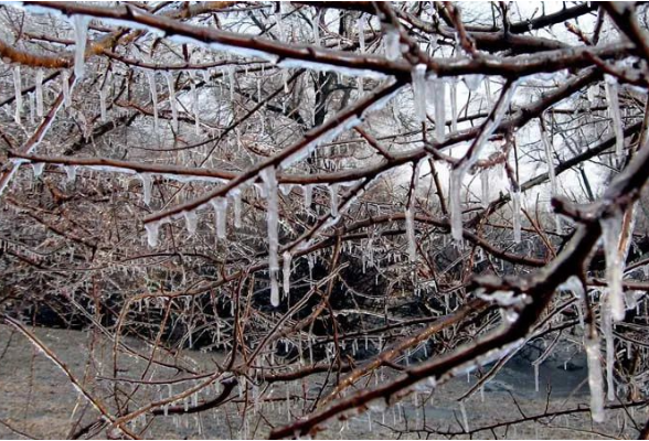 中央气象台最新预警：湖南等5地将有8至10级雷暴大风或冰雹