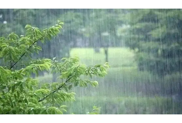 9级以上阵风！长沙连发四条雷雨大风黄色预警信号！