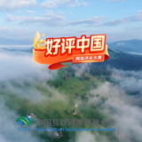 好评中国｜用镜头和笔触为时代做注解 唱响正能量之歌