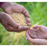 高校劳动教育“应有何为”