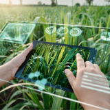 数智技术究竟如何重塑与赋能教育