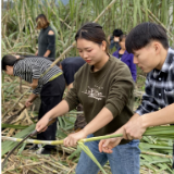 “创新创业印痕”之二:“红小方”里甜蜜蜜