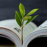 “老师”为何成了万能称呼