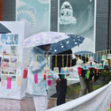 青春赋能绿动瓷城！醴陵选调生宣讲团绘就生态文明实践新图景