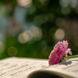 拯救大学生专注力“失焦”,不止放下手机