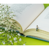 科普文,怎么读更有效